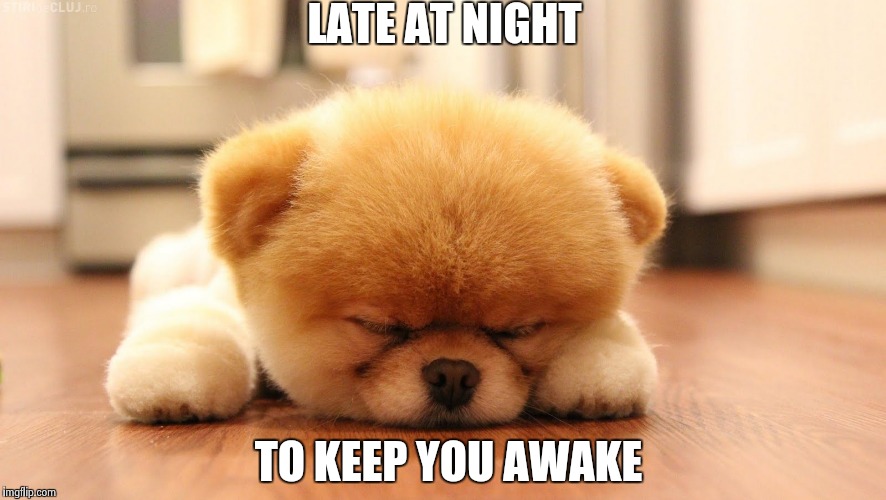 Sleeping dog | LATE AT NIGHT TO KEEP YOU AWAKE | image tagged in sleeping dog | made w/ Imgflip meme maker