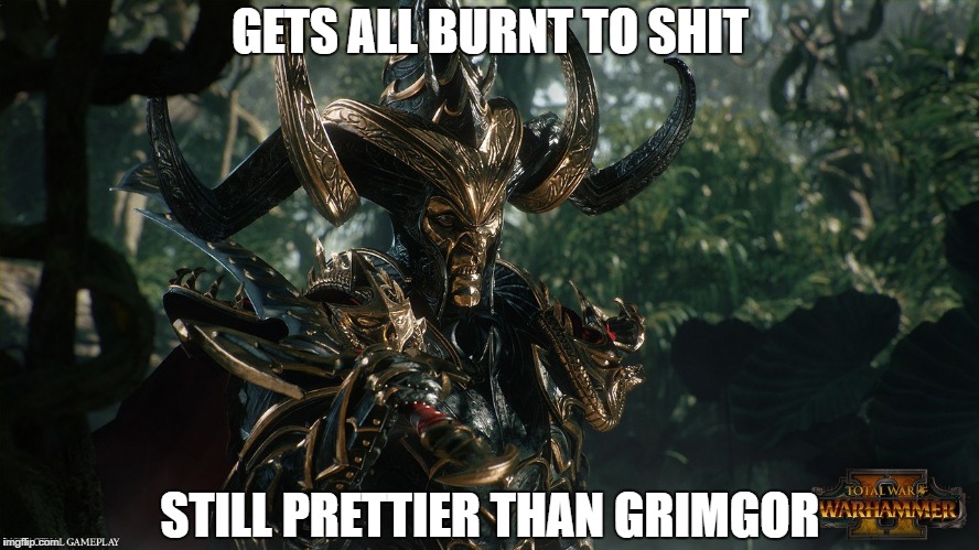 GETS ALL BURNT TO SHIT; STILL PRETTIER THAN GRIMGOR | made w/ Imgflip meme maker