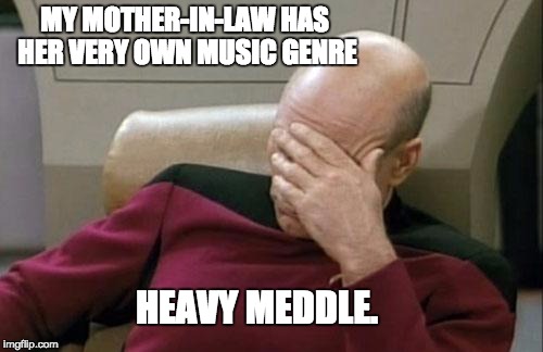 Captain Picard Facepalm | MY MOTHER-IN-LAW HAS HER VERY OWN MUSIC GENRE; HEAVY MEDDLE. | image tagged in memes,captain picard facepalm | made w/ Imgflip meme maker