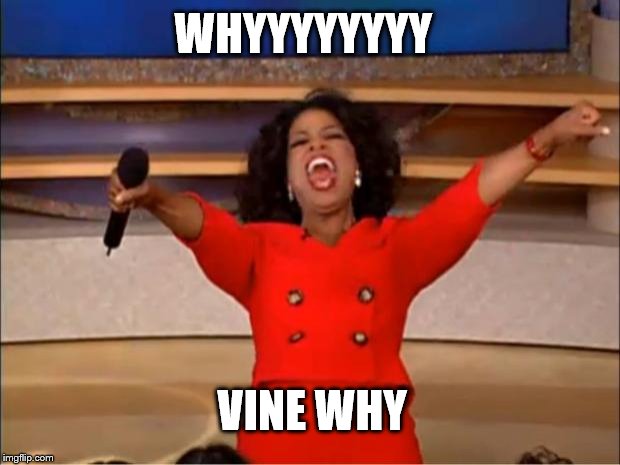 Oprah You Get A Meme | WHYYYYYYYY; VINE WHY | image tagged in memes,oprah you get a | made w/ Imgflip meme maker