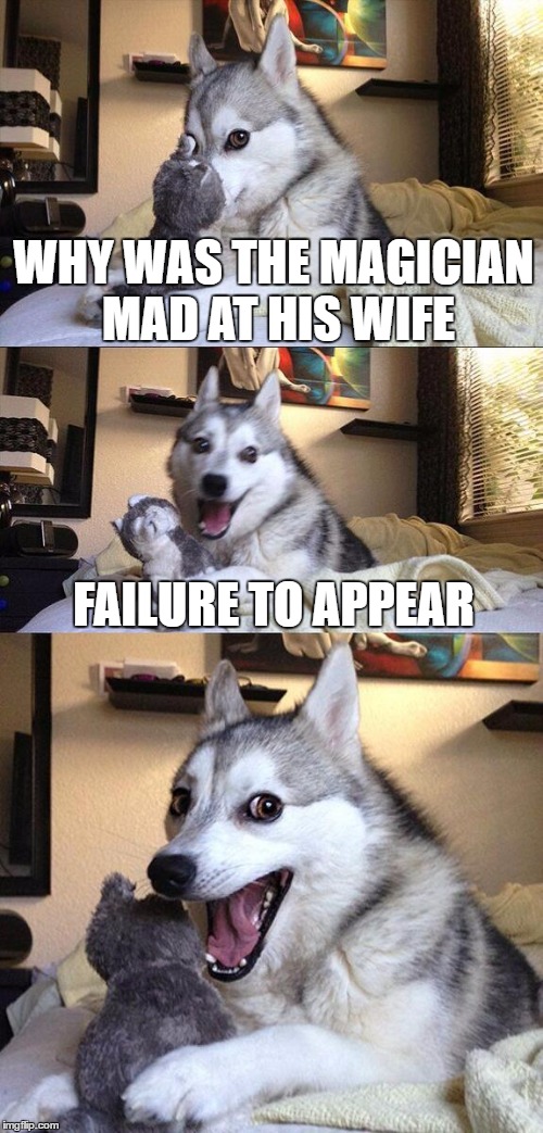 Bad Pun Dog Meme | WHY WAS THE MAGICIAN MAD AT HIS WIFE; FAILURE TO APPEAR | image tagged in memes,bad pun dog,lol so funny,women rights,hide and seek,bad puns | made w/ Imgflip meme maker