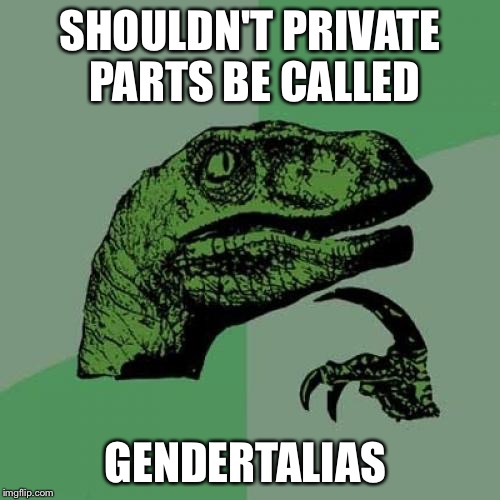 Philosoraptor | SHOULDN'T PRIVATE PARTS BE CALLED; GENDERTALIAS | image tagged in memes,philosoraptor | made w/ Imgflip meme maker