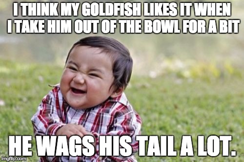 Evil Toddler | I THINK MY GOLDFISH LIKES IT WHEN I TAKE HIM OUT OF THE BOWL FOR A BIT; HE WAGS HIS TAIL A LOT. | image tagged in memes,evil toddler | made w/ Imgflip meme maker