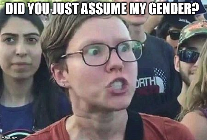 DID YOU JUST ASSUME MY GENDER? | made w/ Imgflip meme maker