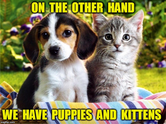 ON  THE  OTHER  HAND WE  HAVE  PUPPIES  AND  KITTENS | made w/ Imgflip meme maker