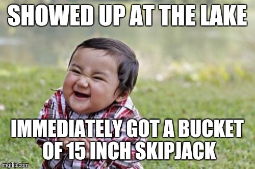 Evil Toddler Meme | SHOWED UP AT THE LAKE; IMMEDIATELY GOT A BUCKET OF 15 INCH SKIPJACK | image tagged in memes,evil toddler | made w/ Imgflip meme maker