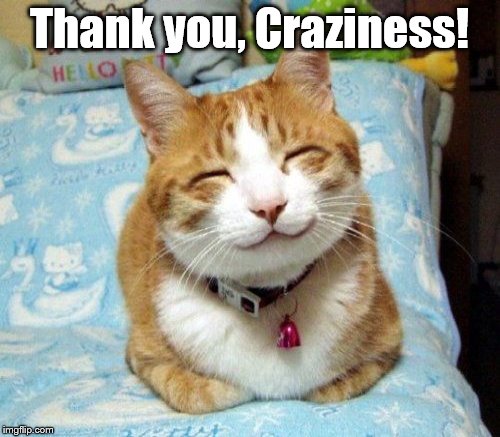 Thank you, Craziness! | made w/ Imgflip meme maker
