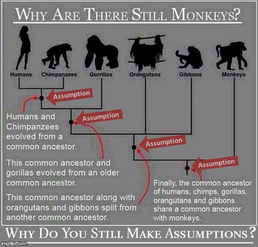 image tagged in assumptions,monkeys,mankind | made w/ Imgflip meme maker