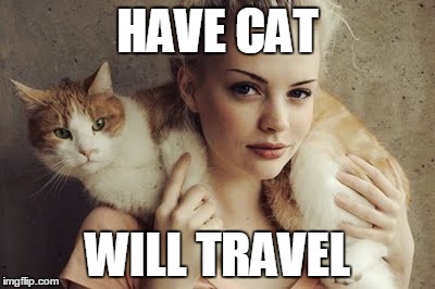 HAVE CAT; WILL TRAVEL | made w/ Imgflip meme maker