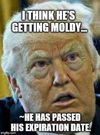 Trump passed his expiration date | I THINK HE'S GETTING MOLDY... ~HE HAS PASSED HIS EXPIRATION DATE. | image tagged in moldy trump,political meme | made w/ Imgflip meme maker