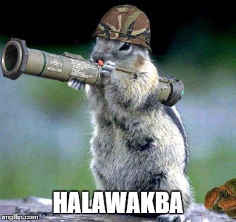 Bazooka Squirrel Meme | HALAWAKBA | image tagged in memes,bazooka squirrel | made w/ Imgflip meme maker