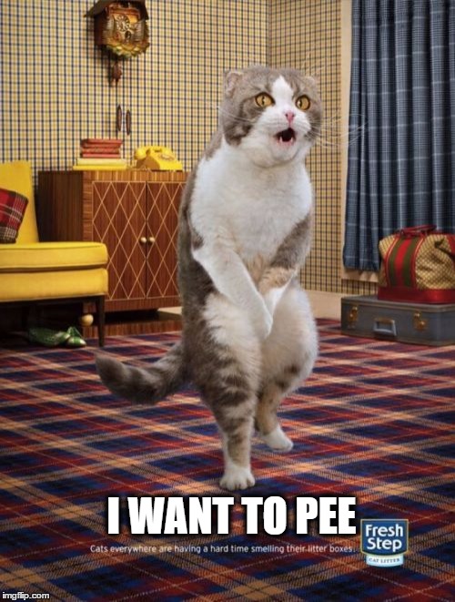 Gotta Go Cat | I WANT TO PEE | image tagged in memes,gotta go cat | made w/ Imgflip meme maker