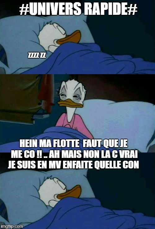 meme-paperino | #UNIVERS RAPIDE#; ZZZZ ZZ; HEIN MA FLOTTE  FAUT QUE JE ME CO !! .. AH MAIS NON LA C VRAI JE SUIS EN MV ENFAITE QUELLE CON | image tagged in meme-paperino | made w/ Imgflip meme maker