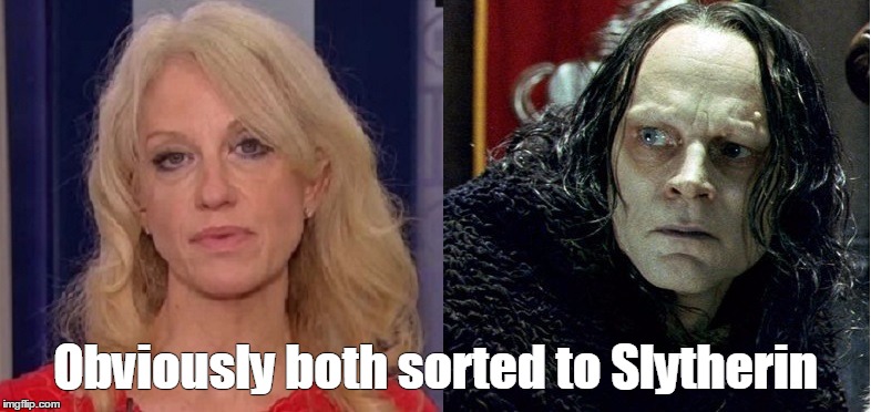 Obviously both sorted to Slytherin | image tagged in kellyanne wormtongue | made w/ Imgflip meme maker