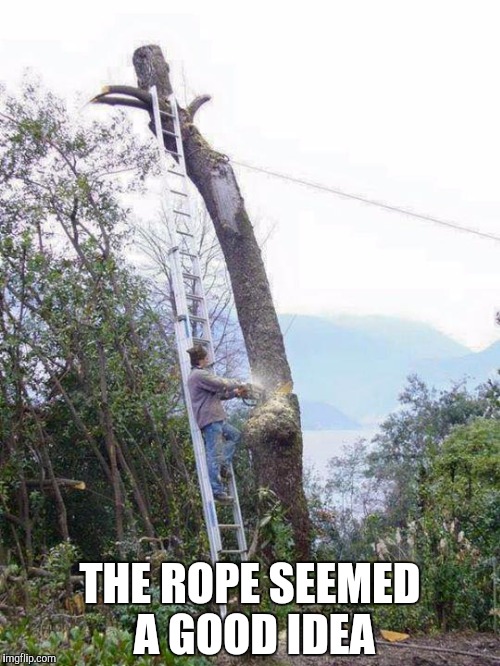 THE ROPE SEEMED A GOOD IDEA | made w/ Imgflip meme maker