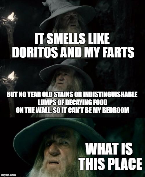If my Gulag of a bedroom was anyone else's, I'd vomit the moment I set foot in it | IT SMELLS LIKE DORITOS AND MY FARTS; BUT NO YEAR OLD STAINS OR INDISTINGUISHABLE LUMPS OF DECAYING FOOD ON THE WALL, SO IT CAN'T BE MY BEDROOM; WHAT IS THIS PLACE | image tagged in memes,confused gandalf | made w/ Imgflip meme maker