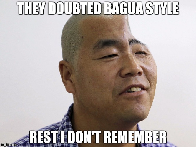 THEY DOUBTED BAGUA STYLE; REST I DON'T REMEMBER | image tagged in bad pun chinese man | made w/ Imgflip meme maker