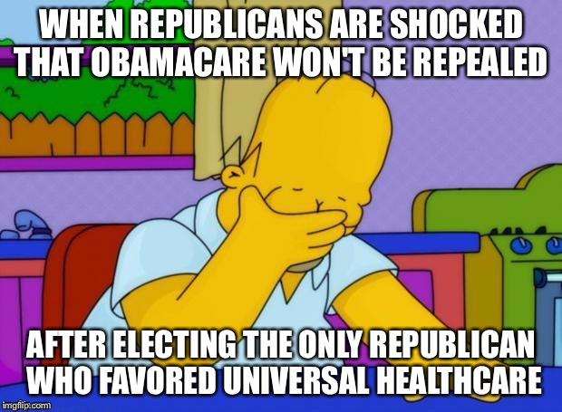 I hate to say I told you so. | WHEN REPUBLICANS ARE SHOCKED THAT OBAMACARE WON'T BE REPEALED; AFTER ELECTING THE ONLY REPUBLICAN WHO FAVORED UNIVERSAL HEALTHCARE | image tagged in irony,donald trump,obamacare | made w/ Imgflip meme maker