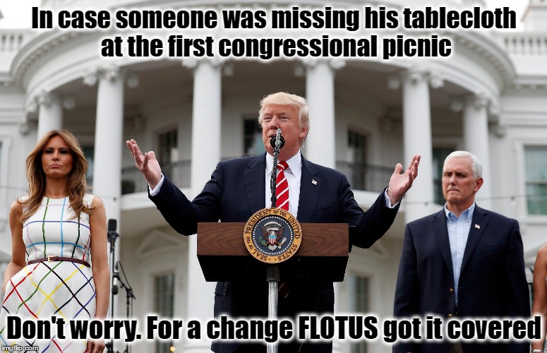 FLOTUS got it covered  | In case someone was missing his tablecloth at the first congressional picnic; Don't worry. For a change FLOTUS got it covered | image tagged in donald trump,melania trump,resist,white house | made w/ Imgflip meme maker