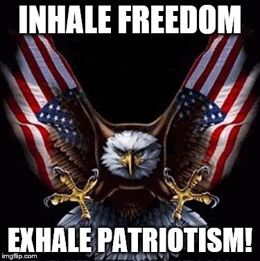 Bald Eagle | INHALE FREEDOM; EXHALE PATRIOTISM! | image tagged in bald eagle | made w/ Imgflip meme maker