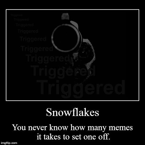 Triggered Time | image tagged in demotivationals,triggered,snowflakes,guns | made w/ Imgflip demotivational maker