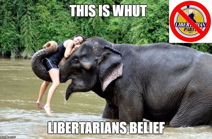Libertarians Must Be Stopped | THIS IS WHUT; LIBERTARIANS BELIEF | image tagged in this is what libertarians believe,libertarian,party,beliefs,meme,funny | made w/ Imgflip meme maker