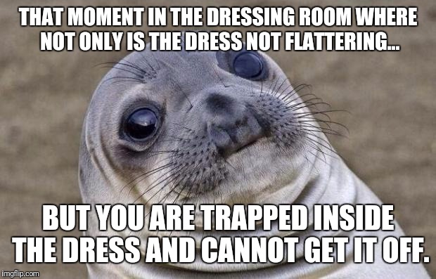 Awkward Moment Sealion Meme | THAT MOMENT IN THE DRESSING ROOM WHERE NOT ONLY IS THE DRESS NOT FLATTERING... BUT YOU ARE TRAPPED INSIDE THE DRESS AND CANNOT GET IT OFF. | image tagged in memes,awkward moment sealion | made w/ Imgflip meme maker