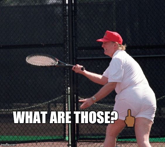WHAT ARE THOSE? 🖕🏾 | image tagged in donald trump | made w/ Imgflip meme maker