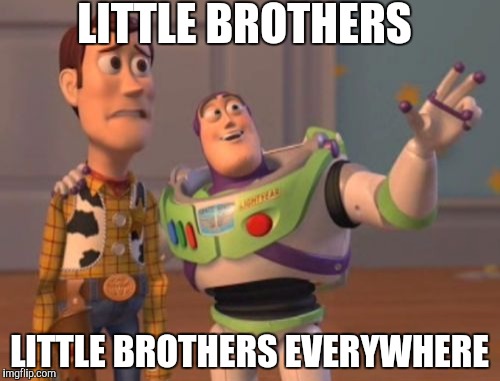 X, X Everywhere | LITTLE BROTHERS; LITTLE BROTHERS EVERYWHERE | image tagged in memes,x x everywhere | made w/ Imgflip meme maker