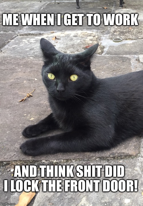 ME WHEN I GET TO WORK; AND THINK SHIT DID I LOCK THE FRONT DOOR! | image tagged in black cat,cats | made w/ Imgflip meme maker