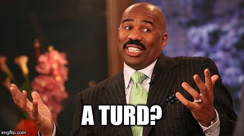 A TURD? | image tagged in memes,steve harvey | made w/ Imgflip meme maker