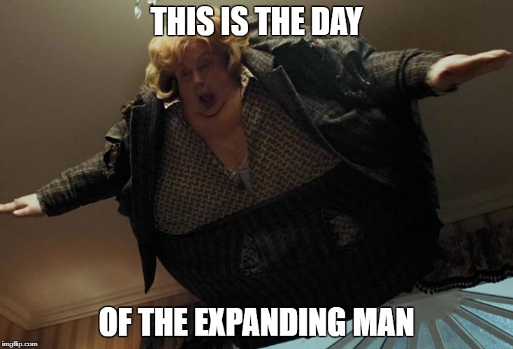 THIS IS THE DAY; OF THE EXPANDING MAN | image tagged in harry potter meme | made w/ Imgflip meme maker