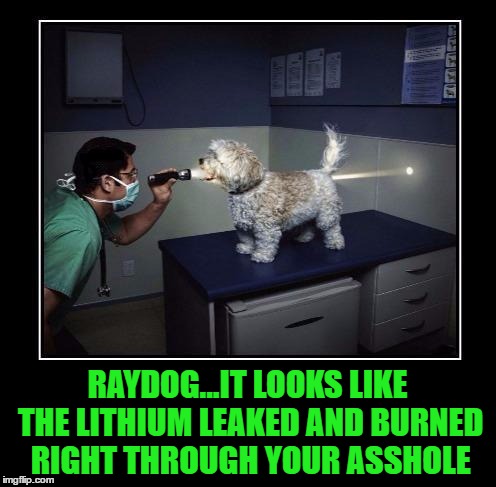 RAYDOG...IT LOOKS LIKE THE LITHIUM LEAKED AND BURNED RIGHT THROUGH YOUR ASSHOLE | made w/ Imgflip meme maker