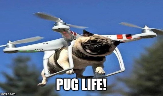 PUG LIFE! | made w/ Imgflip meme maker