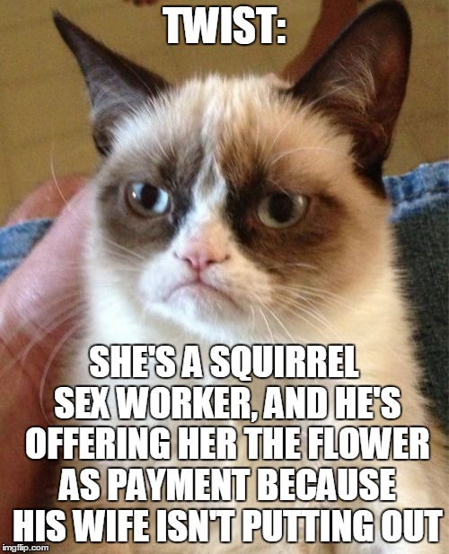 Grumpy Cat Meme | TWIST: SHE'S A SQUIRREL SEX WORKER, AND HE'S OFFERING HER THE FLOWER AS PAYMENT BECAUSE HIS WIFE ISN'T PUTTING OUT | image tagged in memes,grumpy cat | made w/ Imgflip meme maker