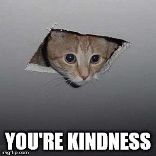 Ceiling Cat Meme | YOU'RE KINDNESS | made w/ Imgflip meme maker