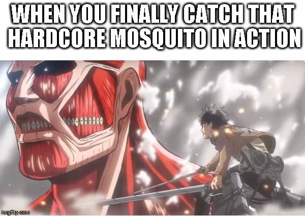 WHEN YOU FINALLY CATCH THAT HARDCORE MOSQUITO IN ACTION | image tagged in mosquito,attack on titan,colossal titan,eren,anime,mosquito attack | made w/ Imgflip meme maker