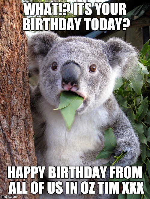 Australian Koala Surprise WTF | WHAT!? ITS YOUR BIRTHDAY TODAY? HAPPY BIRTHDAY FROM ALL OF US IN OZ TIM XXX | image tagged in australian koala surprise wtf | made w/ Imgflip meme maker