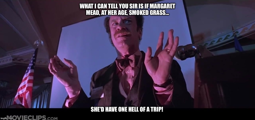 WHAT I CAN TELL YOU SIR IS IF MARGARET MEAD, AT HER AGE, SMOKED GRASS... SHE'D HAVE ONE HELL OF A TRIP! | image tagged in fear and loathing | made w/ Imgflip meme maker