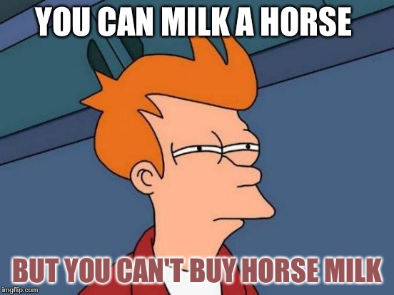 and FFS don't Google it | YOU CAN MILK A HORSE; BUT YOU CAN'T BUY HORSE MILK | image tagged in memes,futurama fry | made w/ Imgflip meme maker