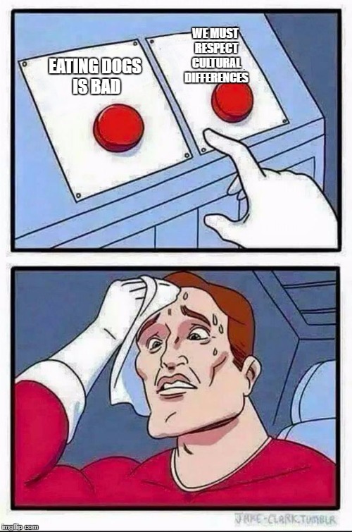 Two Buttons Meme | WE MUST RESPECT CULTURAL DIFFERENCES; EATING DOGS IS BAD | image tagged in hard choice to make | made w/ Imgflip meme maker