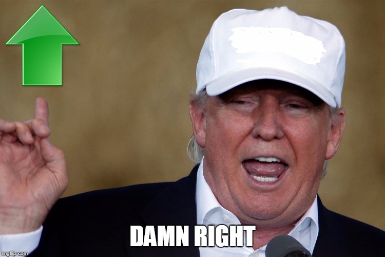 Donald Trump Blank MAGA Hat | DAMN RIGHT | image tagged in donald trump blank maga hat | made w/ Imgflip meme maker