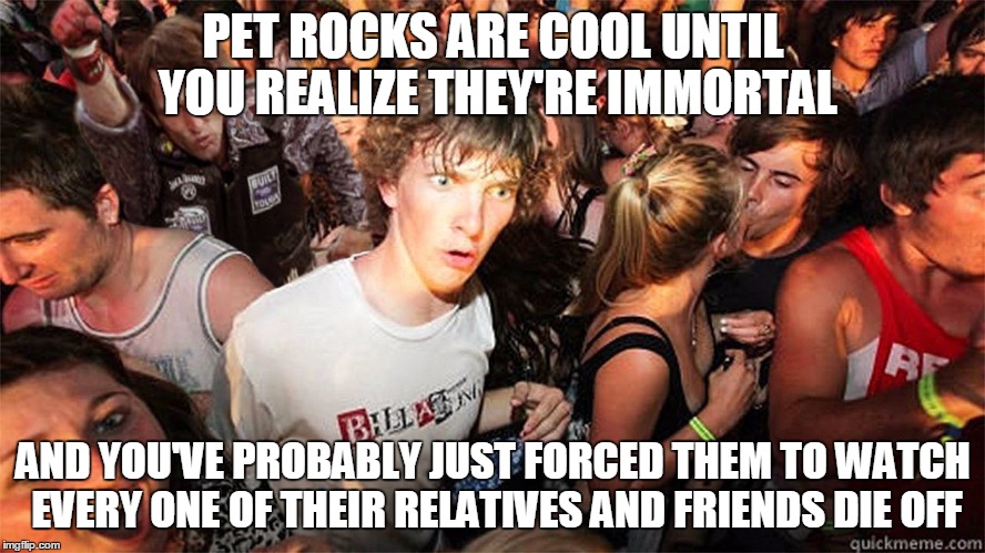 Sudden Clarity Clarence Large | PET ROCKS ARE COOL UNTIL YOU REALIZE THEY'RE IMMORTAL; AND YOU'VE PROBABLY JUST FORCED THEM TO WATCH EVERY ONE OF THEIR RELATIVES AND FRIENDS DIE OFF | image tagged in sudden clarity clarence large | made w/ Imgflip meme maker