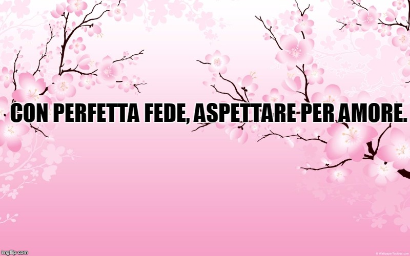 cherry blossom | CON PERFETTA FEDE, ASPETTARE PER AMORE. | image tagged in cherry blossom | made w/ Imgflip meme maker