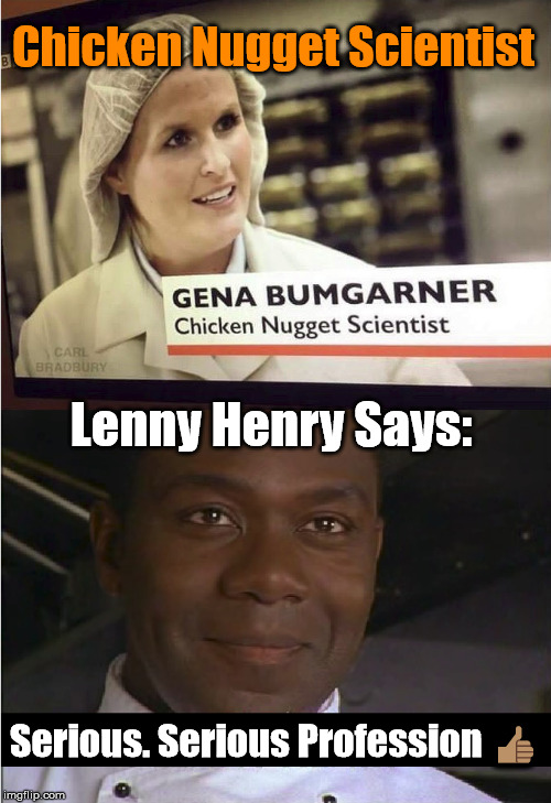 Whats your profession? | Chicken Nugget Scientist; Lenny Henry Says:; Serious. Serious Profession 👍🏽 | image tagged in lenny henry,professional,serious,memes,chef | made w/ Imgflip meme maker