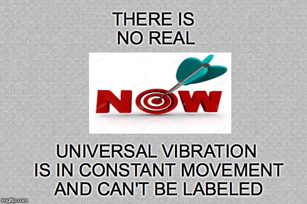 THERE IS NO REAL; UNIVERSAL VIBRATION IS IN CONSTANT MOVEMENT AND CAN'T BE LABELED | made w/ Imgflip meme maker