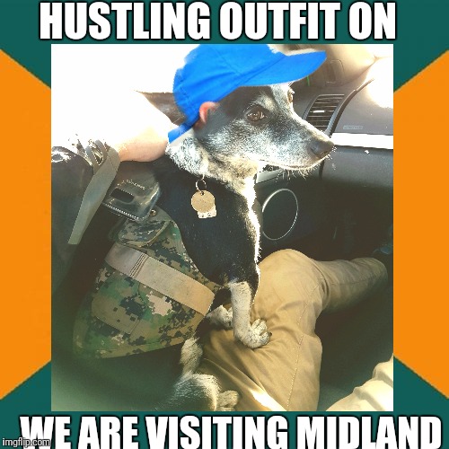 Dang midlands finest | HUSTLING OUTFIT ON; WE ARE VISITING MIDLAND | image tagged in midland,perth,6056,jimmy the junkie,ricky beech,djani bennett | made w/ Imgflip meme maker