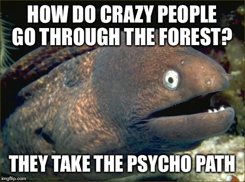 Bad Joke Eel Meme | HOW DO CRAZY PEOPLE GO THROUGH THE FOREST? THEY TAKE THE PSYCHO PATH | image tagged in memes,bad joke eel | made w/ Imgflip meme maker
