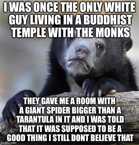 Confession Bear Meme | I WAS ONCE THE ONLY WHITE GUY LIVING IN A BUDDHIST TEMPLE WITH THE MONKS THEY GAVE ME A ROOM WITH A GIANT SPIDER BIGGER THAN A TARANTULA IN  | image tagged in memes,confession bear | made w/ Imgflip meme maker