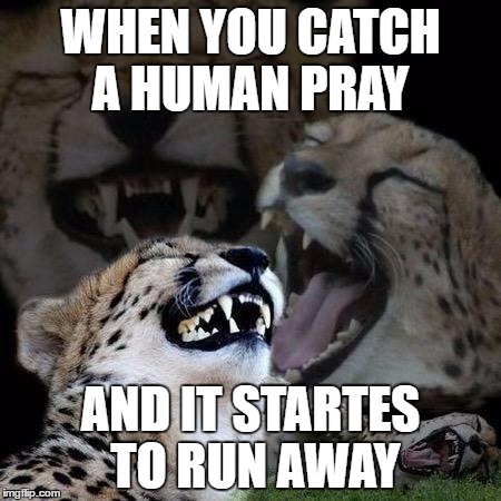 Laughing Cheetah | WHEN YOU CATCH A HUMAN PRAY; AND IT STARTES TO RUN AWAY | image tagged in laughing cheetah | made w/ Imgflip meme maker